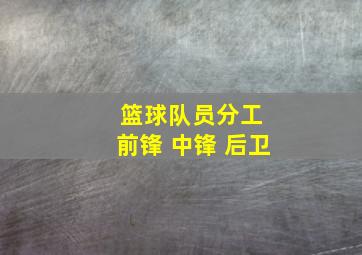 篮球队员分工 前锋 中锋 后卫